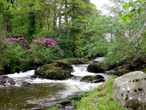 Badgeworthy Water Exmoor