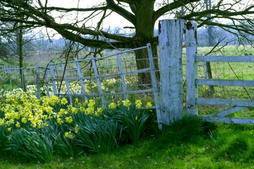 Spring at Badger