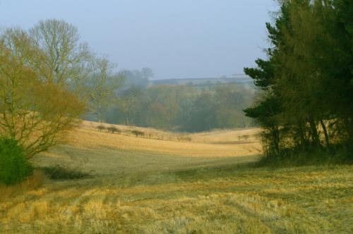 Winter at Farmcote