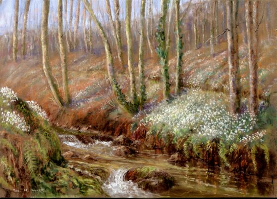 Snowdrop Valley 1