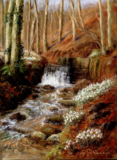 Snowdrop Valley 2