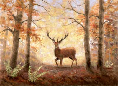 Stag In Autumn