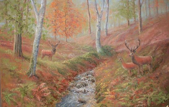 The Soft Shades of Autumn (Horner Valley)