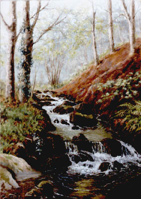 West Water Near Tarr Steps