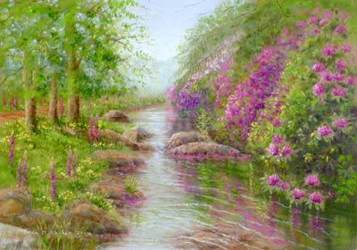 Wild Rhododendrons Beside Badgworthy Water 2