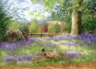 Pheasants and Bluebells at Worfield