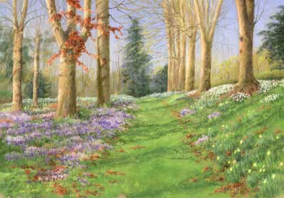 Wild Crocus and Daffodil Woods at Wombourne