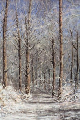 Winter in Baggeridge Park