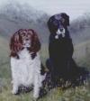Best Friends
