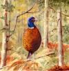 The Lone Pheasant