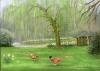 Pheasants in Spring Landscape (Claverley Shropshire)